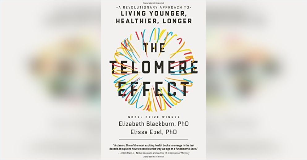 The Telomere Effect: 6 Science-Backed Ways to Protect Your Telomeres and Slow Aging